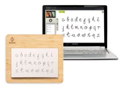 accurate handwriting digitization with viewboard notepad